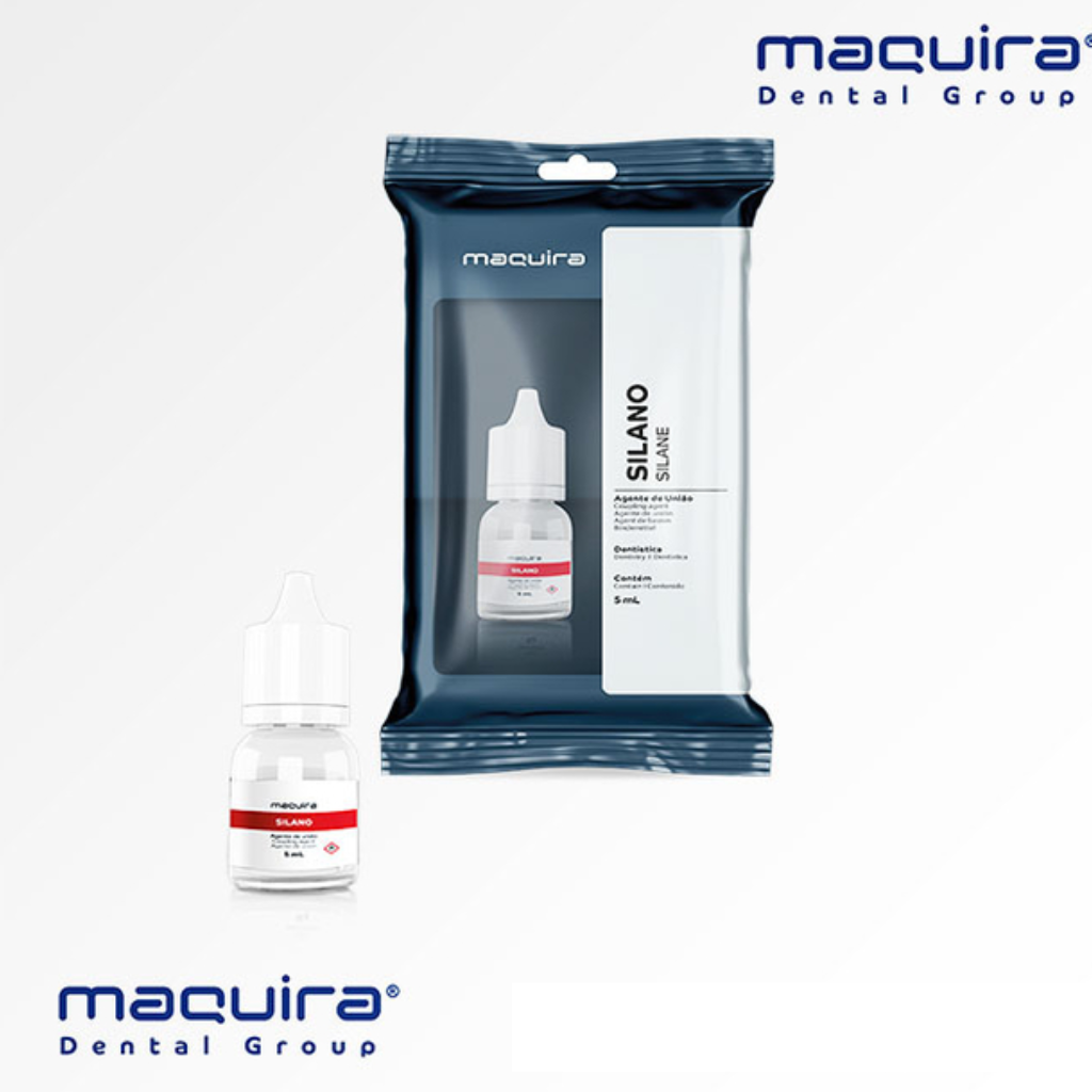 1685 SILANO - Imagen 1