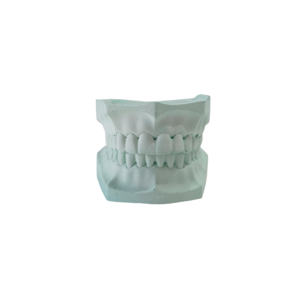 Diseno-sin-titulo-15 MODELO DENTADO XL - Imagen 1