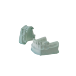 MODELO DE YESO PARCIAL DENTADO